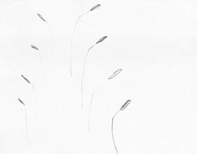 O.T.2001 Bleistift 21x29,5